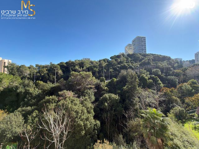 דירה, חלמיש, רמת אלמוגי, חיפה