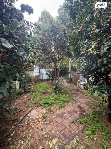 דירת גן, הל"ה, גבעתיים