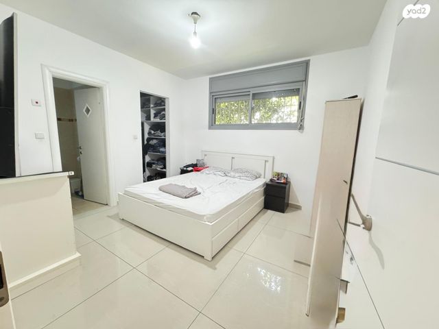 דירת גן, רחובות הצעירה, רחובות