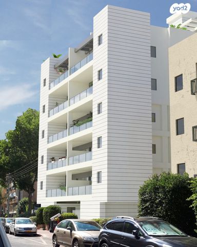 דוד וולפסון 42