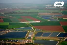 מרחביה קיבוץ