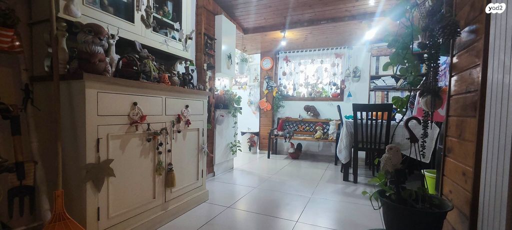 דירה, הלל, מסדה, חיפה