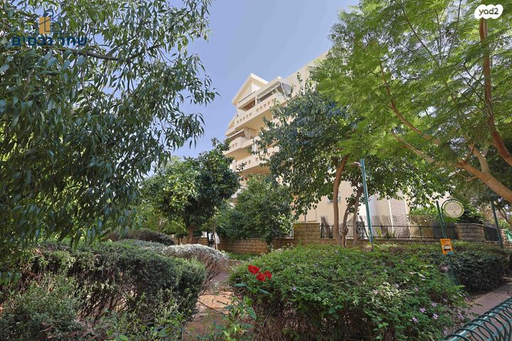 דירה, כפר סבא