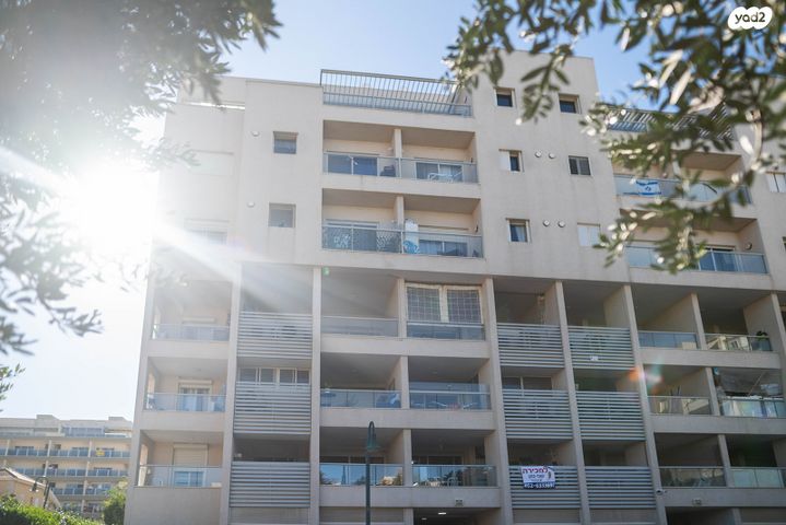 דירה, אלי כהן, זכרון יעקב