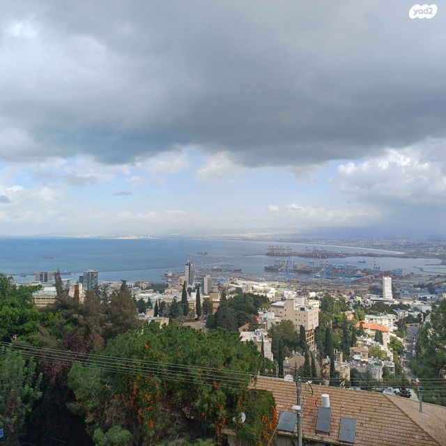 הנרייטה סולד 