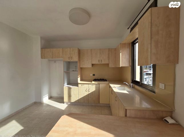 פנחס רוטנברג 17