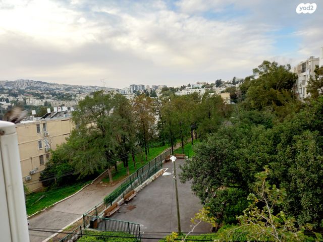 הרב מיימון 40