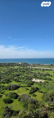 שדרות דוד בן גוריון 