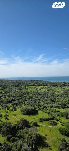 דירה, שדרות דוד בן גוריון, הסיטי, אשקלון