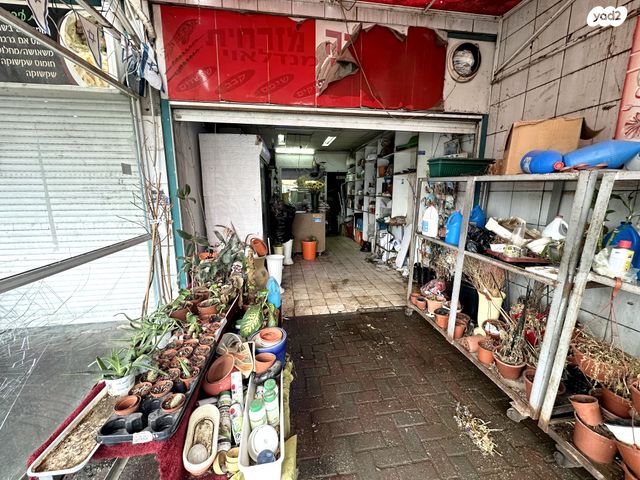 חנויות/ שטח מסחרי, העמק, מרכז העיר, כרמיאל