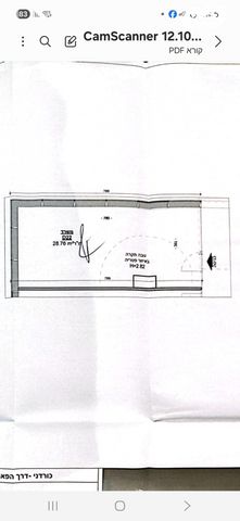 שושנה דמארי 1