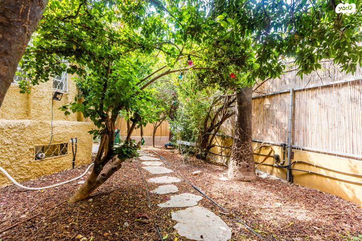 מגרשים, מסדה 13, מסדה, חיפה