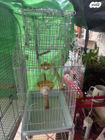 תמונת מודעה - חיות מחמד