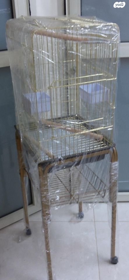 תמונת מודעה - חיות מחמד