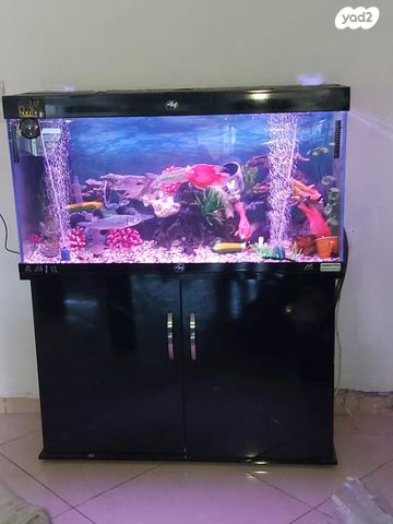 תמונת מודעה - חיות מחמד