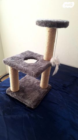 תמונת מודעה - חיות מחמד