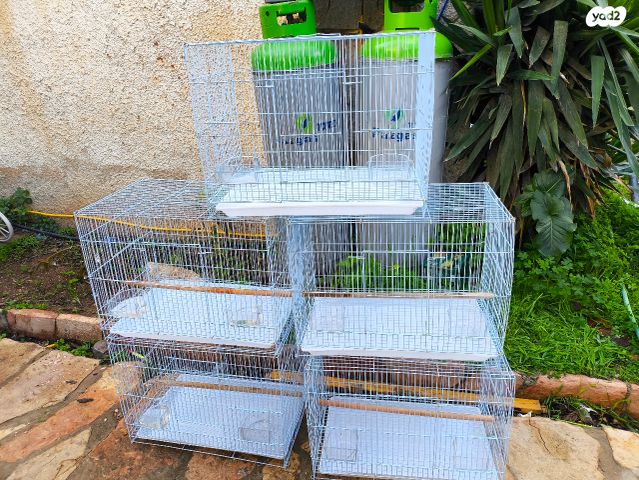 תמונת מודעה - חיות מחמד