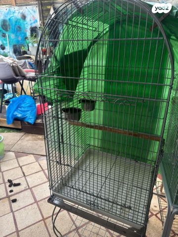 תמונת מודעה - חיות מחמד