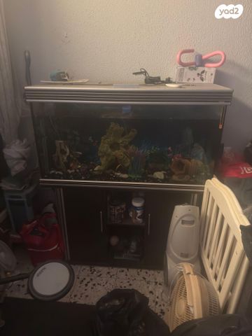 תמונת מודעה - חיות מחמד