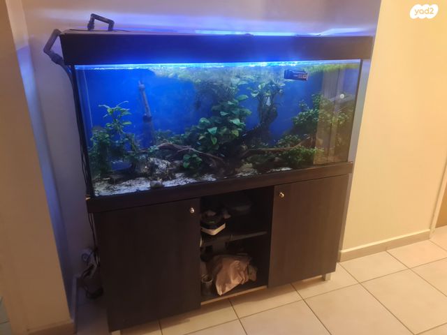 תמונת מודעה - חיות מחמד