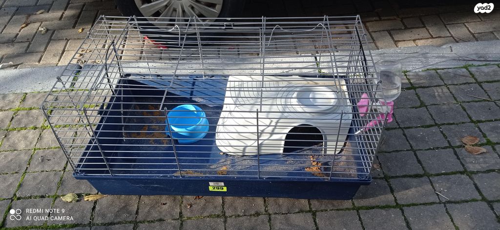 תמונת מודעה - חיות מחמד