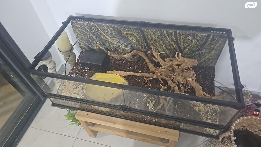 תמונת מודעה - חיות מחמד