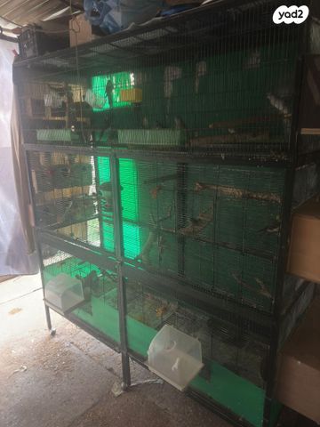 תמונת מודעה - חיות מחמד