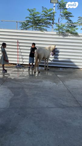 תמונת מודעה - חיות מחמד