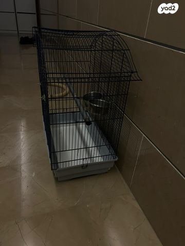 תמונת מודעה - חיות מחמד