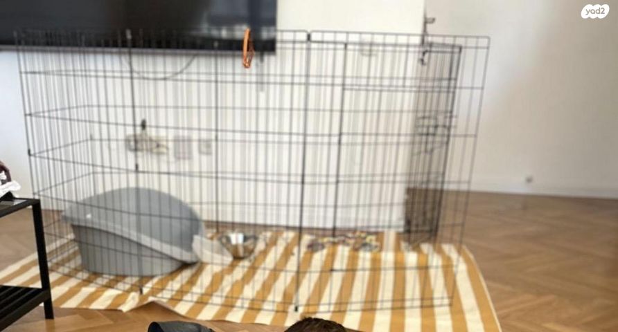 תמונת מודעה - חיות מחמד