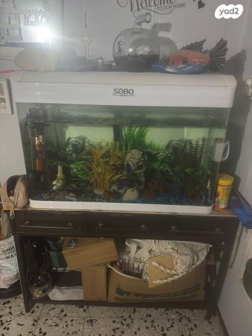 תמונת מודעה - חיות מחמד