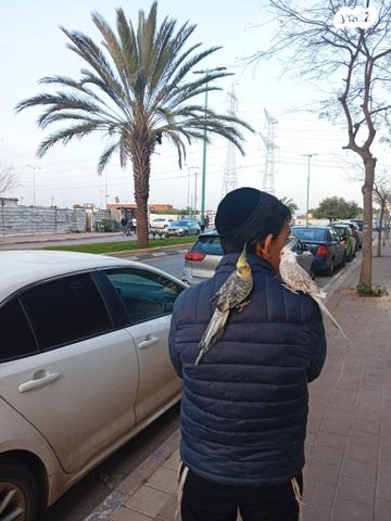 תמונת מודעה - חיות מחמד