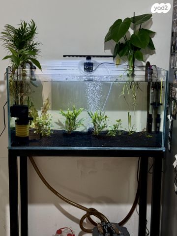 תמונת מודעה - חיות מחמד