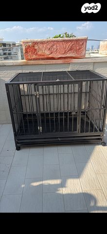 תמונת מודעה - חיות מחמד