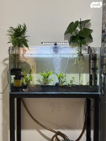 אביזרים | אקווריום