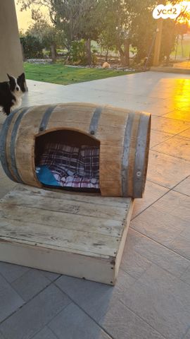 אביזרים | מלונה