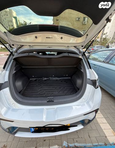 בי.ווי.די דולפין