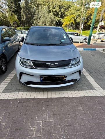 בי.ווי.די דולפין