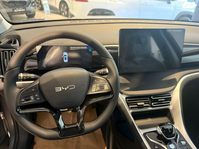 בי.ווי.די סי ליון 05