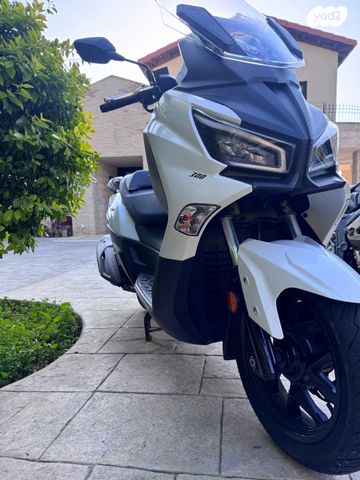 סאן יאנג ג'וי-מקס Z-300