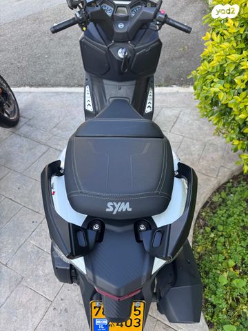 סאן יאנג ג'וי-מקס Z-300