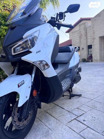 סאן יאנג ג'וי-מקס Z-300