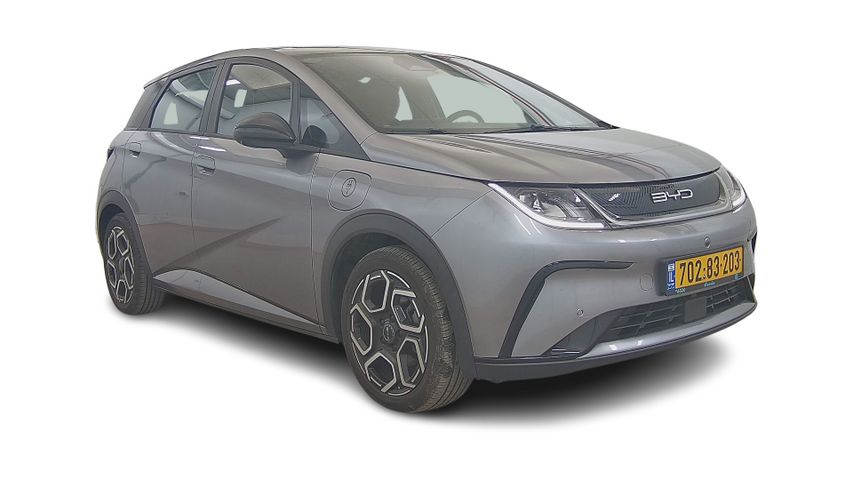 בי.ווי.די דולפין