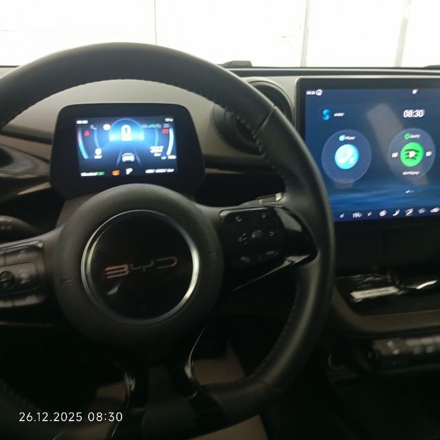 בי.ווי.די דולפין