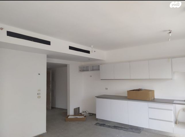 יחיאל צ'לנוב 26