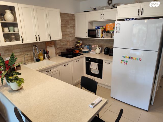 חביבה רייק 52