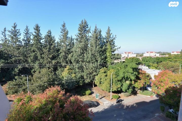 דירה, מבצע דני 9, נווה אפק, ראש העין