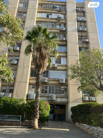 שאול המלך 137