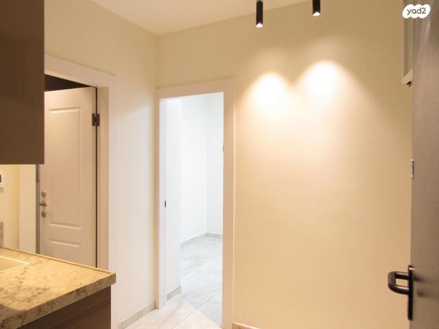 משה זילברג 28