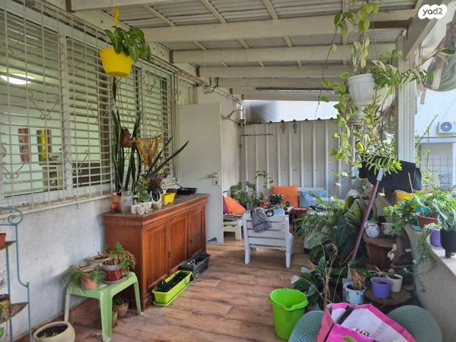 דוד אלעזר 17